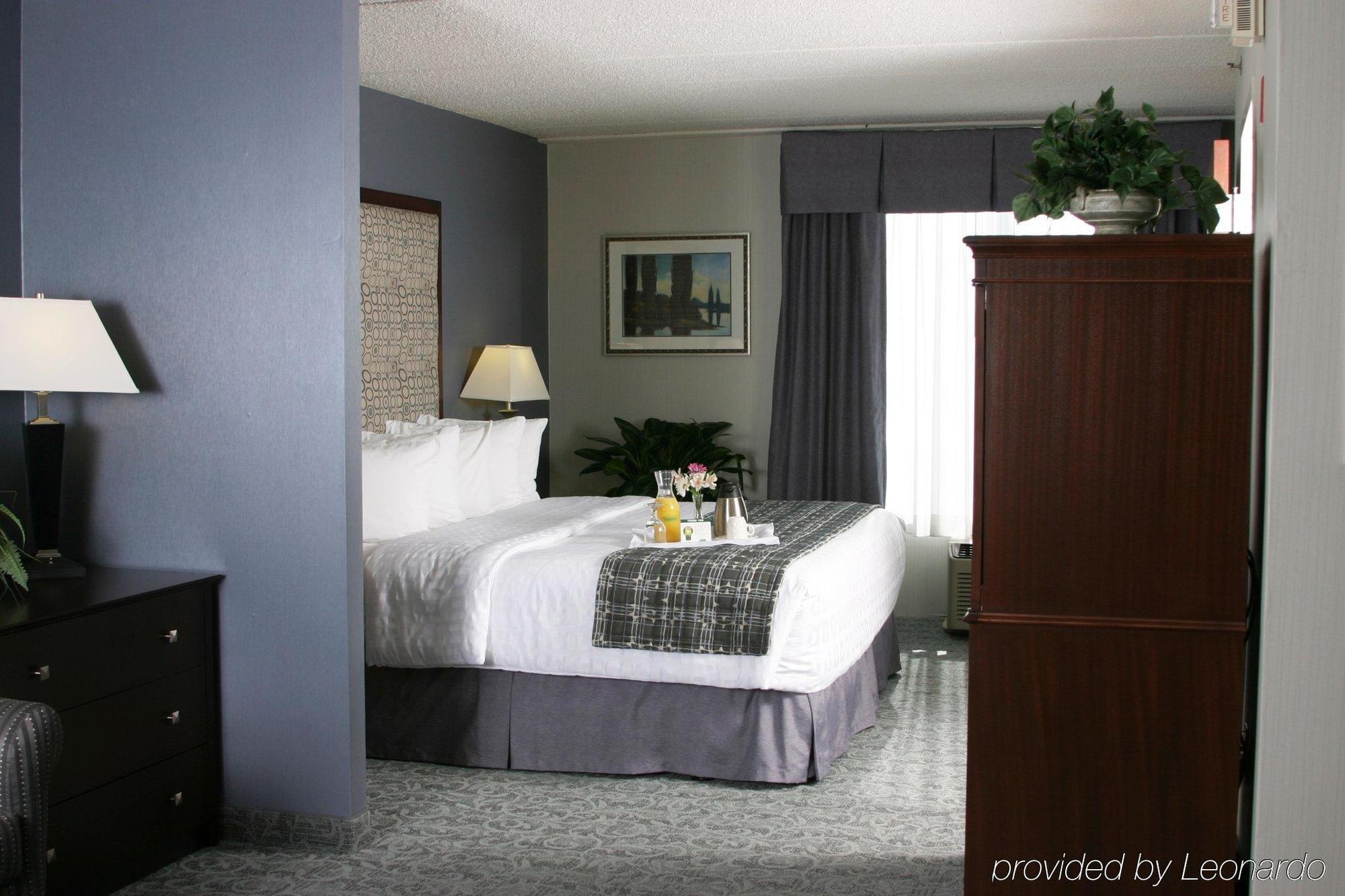 Holiday Inn & Suites Chicago-Carol Stream Wheaton, An Ihg Hotel Room photo